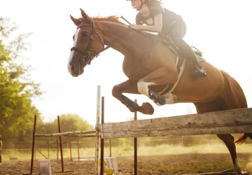 B-Complete Microbiome Support