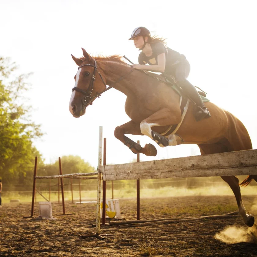 B-Complete Microbiome Support