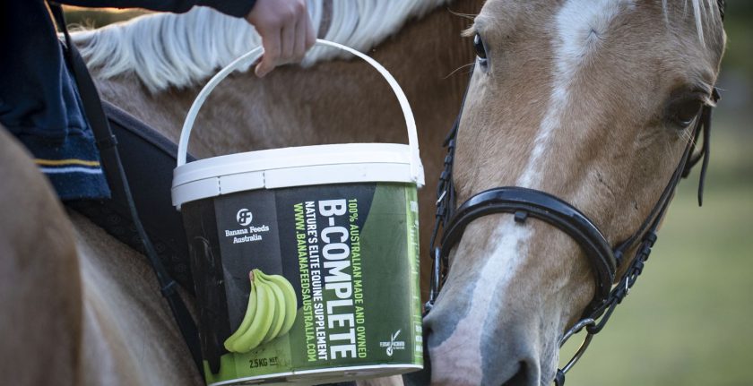 About Us - B-Complete | Banana Feed Supplement