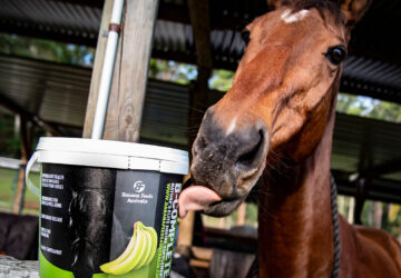 B-Complete Gut Health