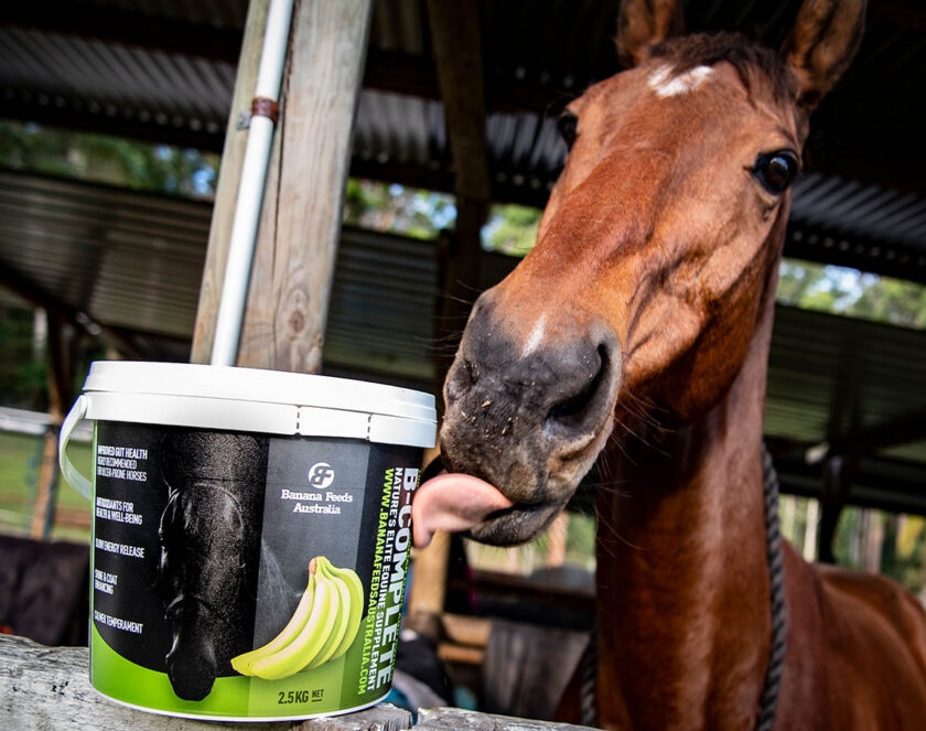 B-Complete Gut Health